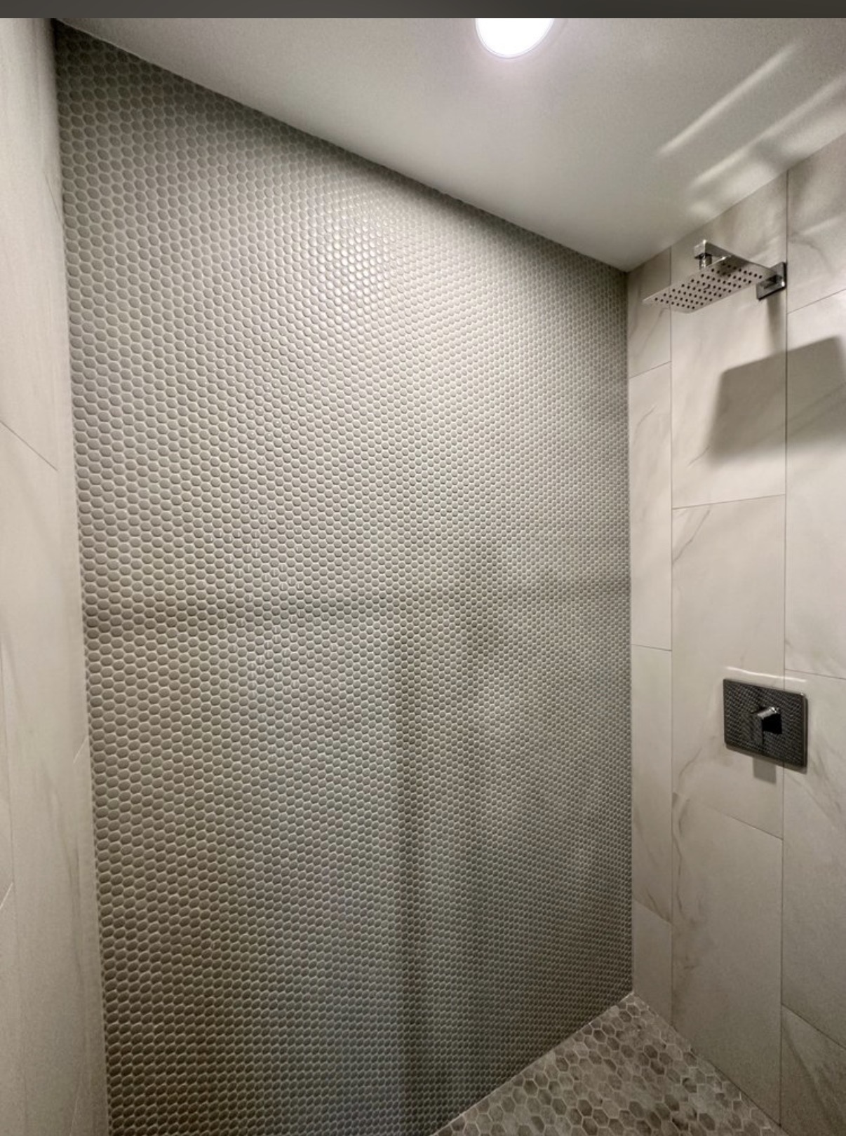 Penny-tile shower wall with rainfall head